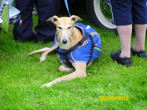 Malvern Hills Rally May 2012 028 (106K)